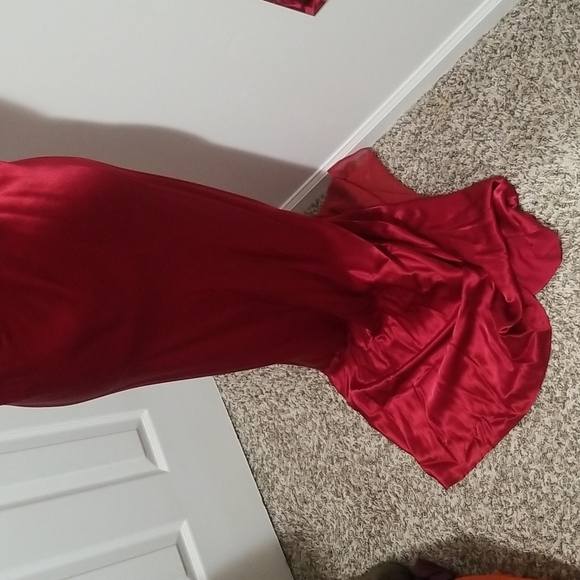 Beautiful Ruby Red Niki by Niki Livas Gown. - Picture 5 of 9